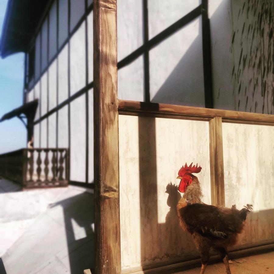 Sugar Cube Retreat Hostel Σίμλα Εξωτερικό φωτογραφία